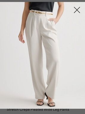 Quince Stretch Crepe Pleated Wide Leg Pants Sand Size 10 Flowy Trouser Academia